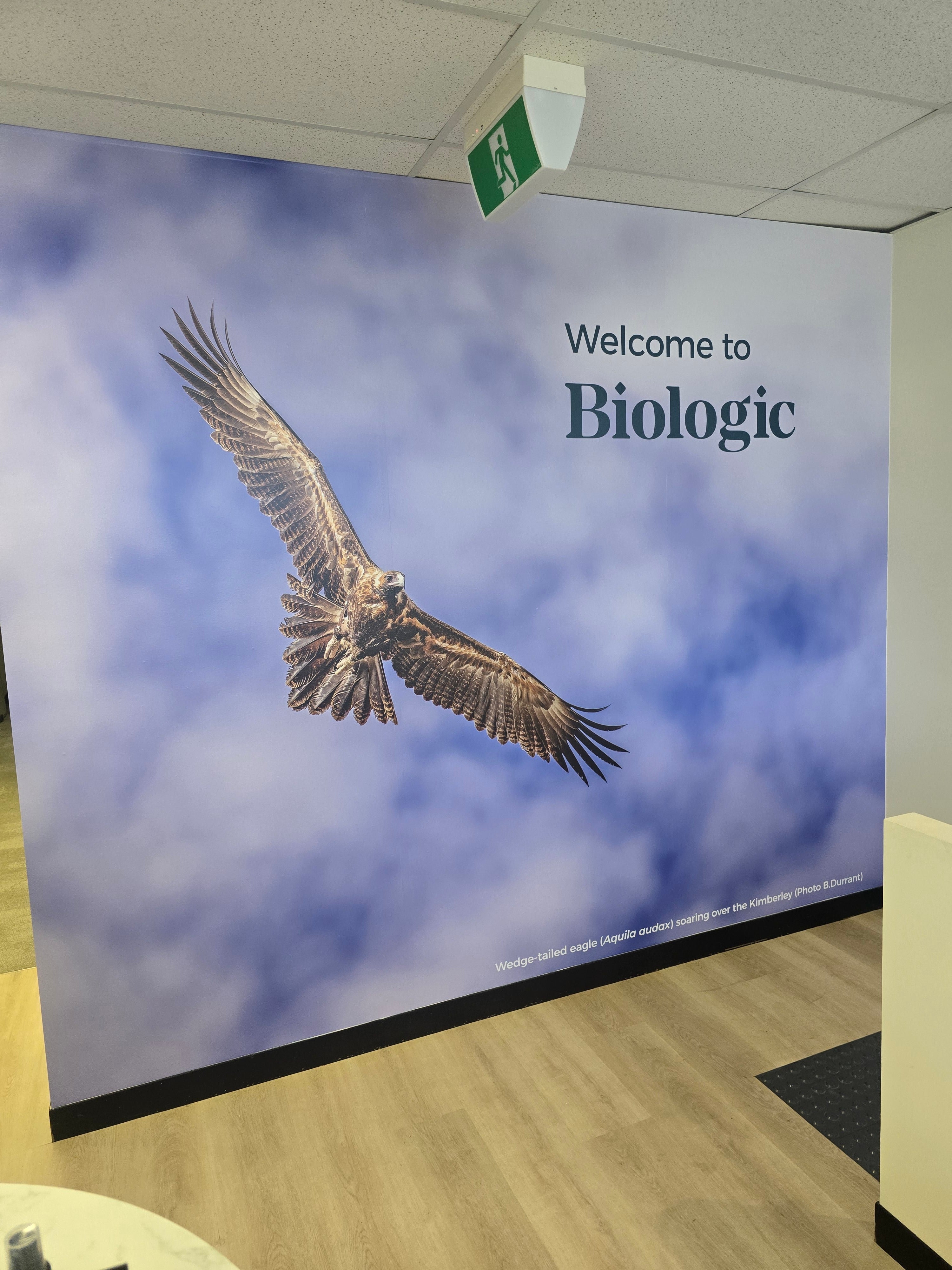 Bringing Biologic’s Brand to Life in Osborne Park