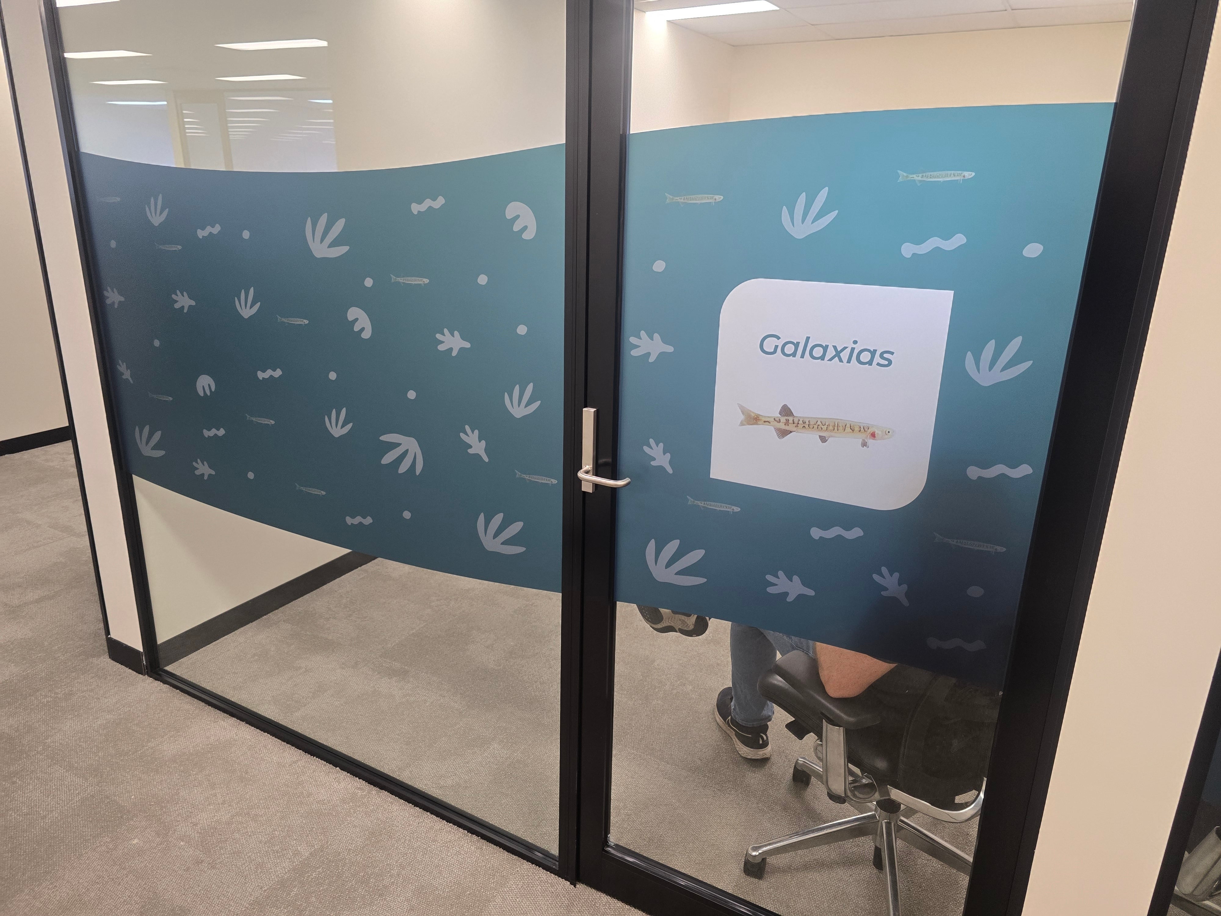 Bringing Biologic’s Brand to Life in Osborne Park
