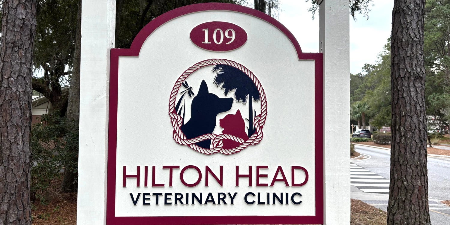 Sign Design Services