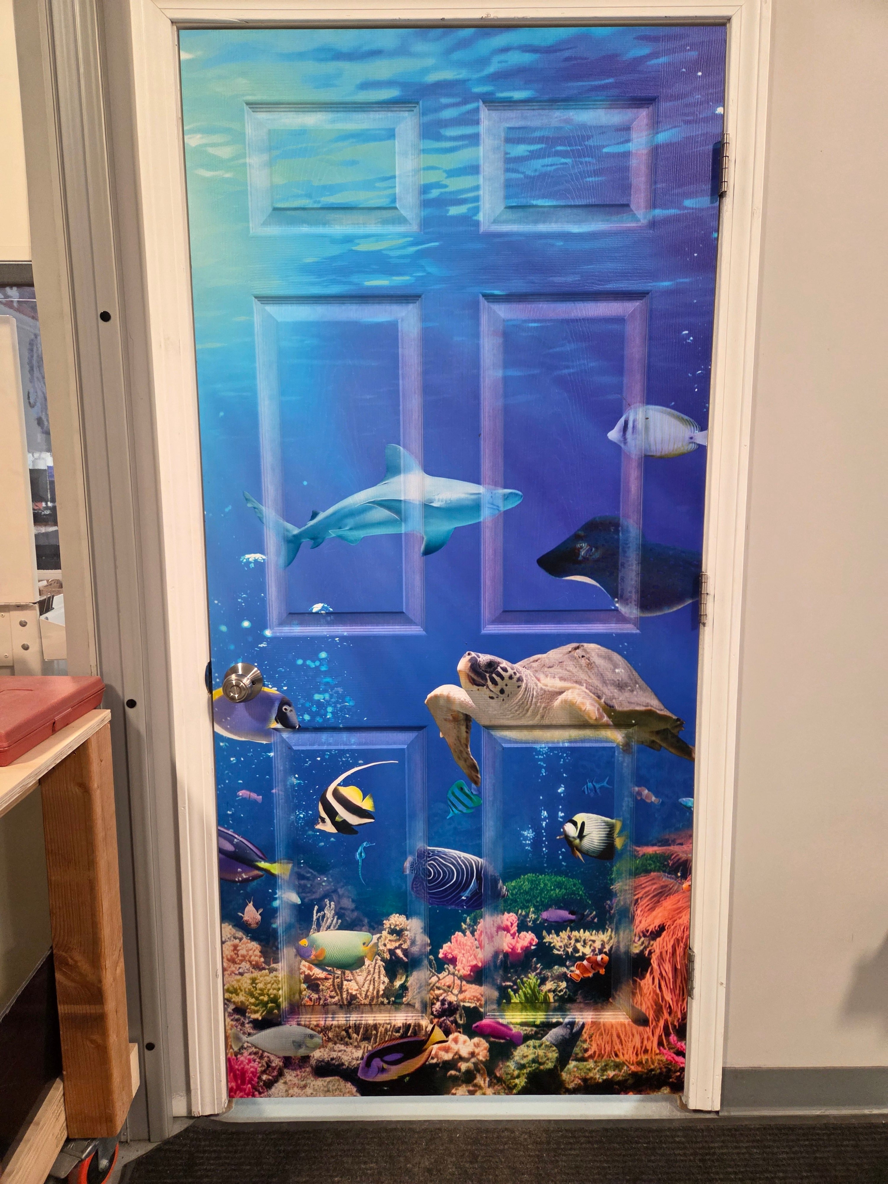Turn Ordinary Doors into Unforgettable Experiences