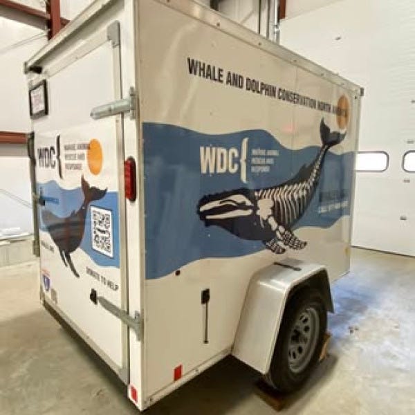 WDC2