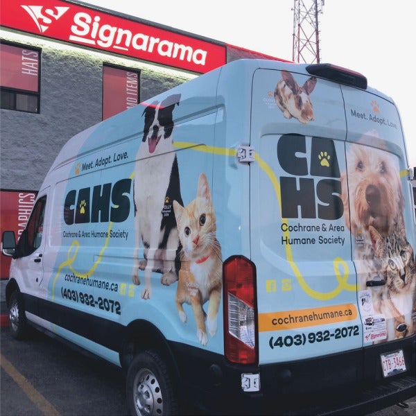 Check This Cool Car Wrap