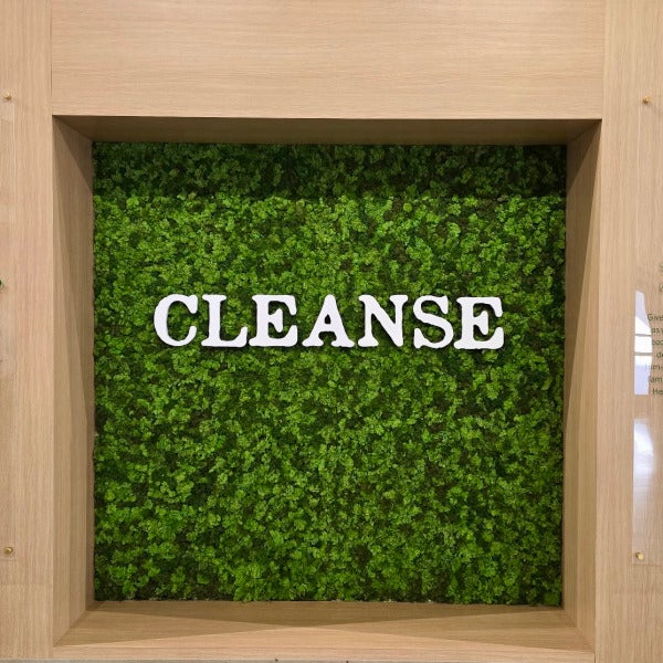 Living Moss Wall with Dimension Lettering and Acrylics done by Signarama North Fort Worth/Keller for Keystone Church