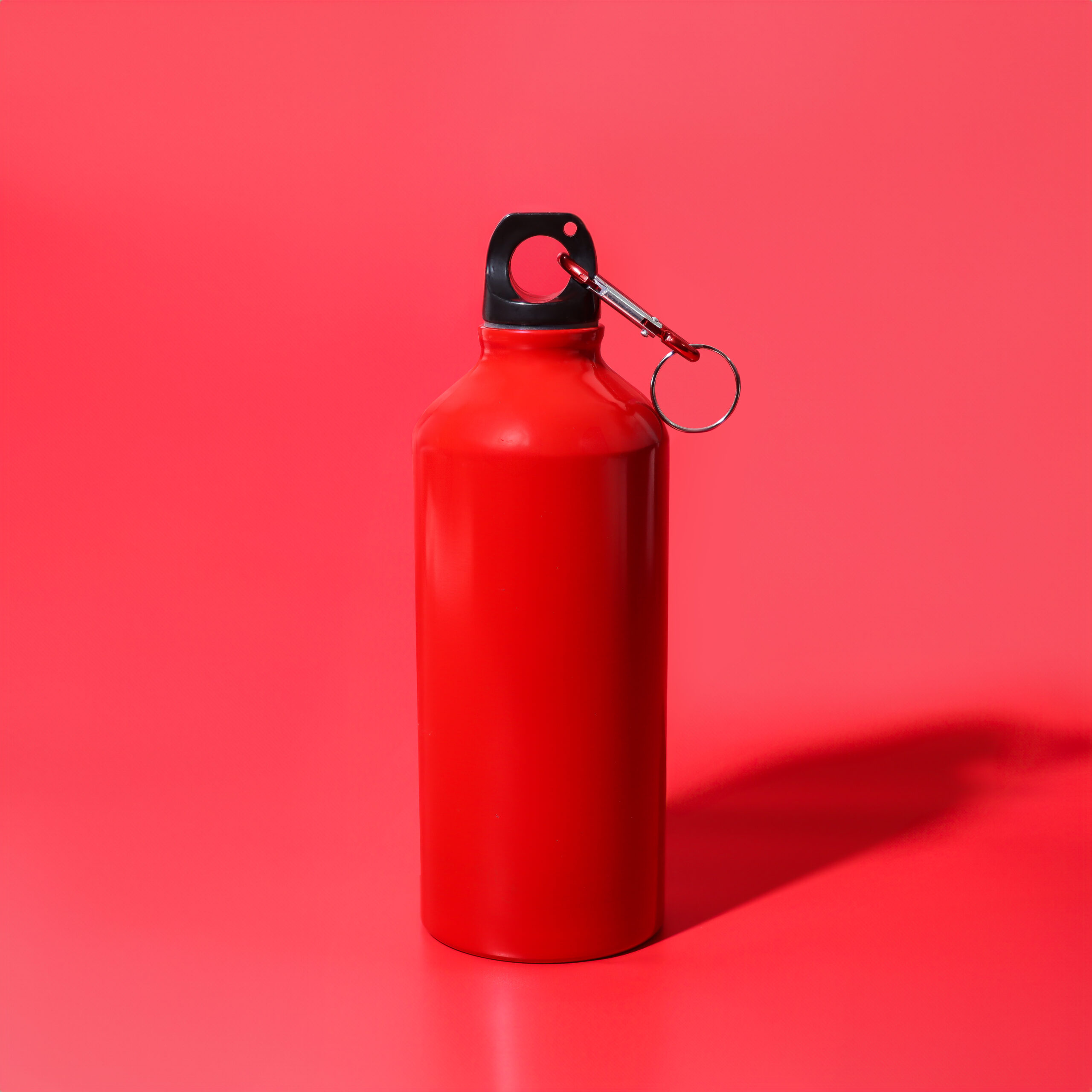 Voyager 600ml Bottle