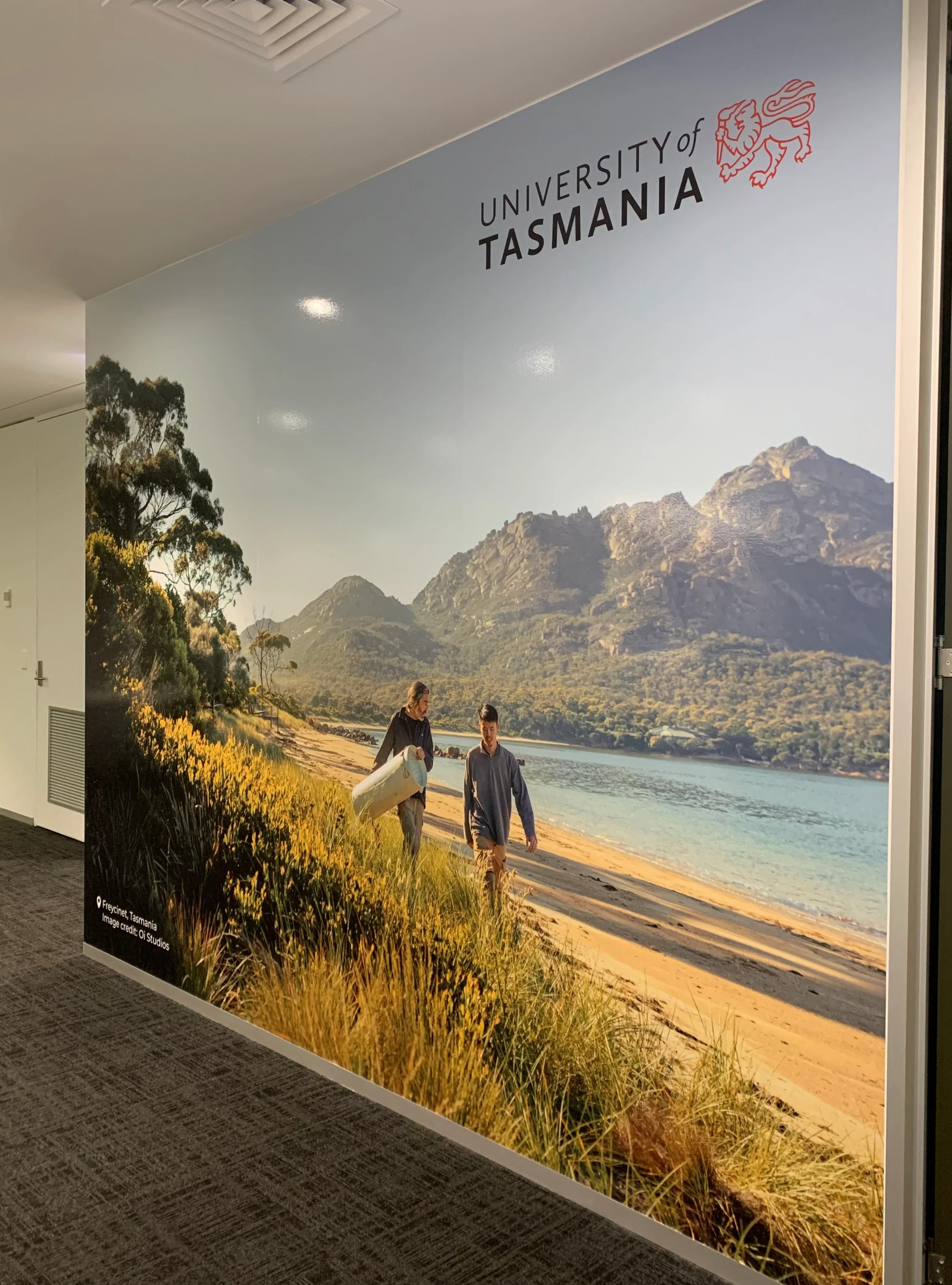 Wall Graphics - University of Tasmania - Melbourne VIC.