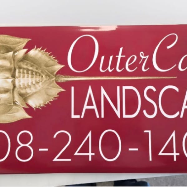 OuterCapeLandscape
