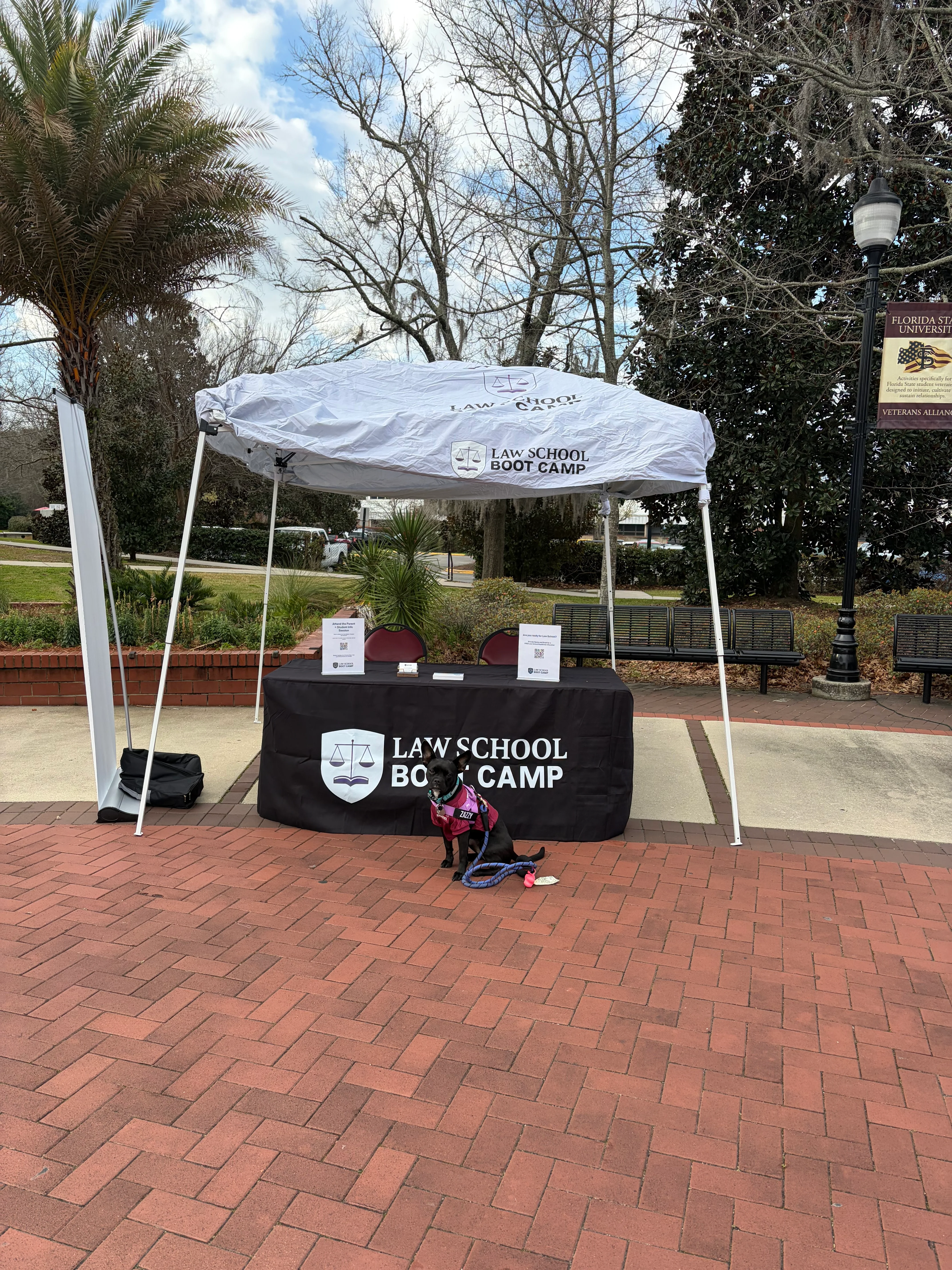 Custom Branded Event Tent & Table Cover in Hollywood, Florida – Built for Wind & Rain