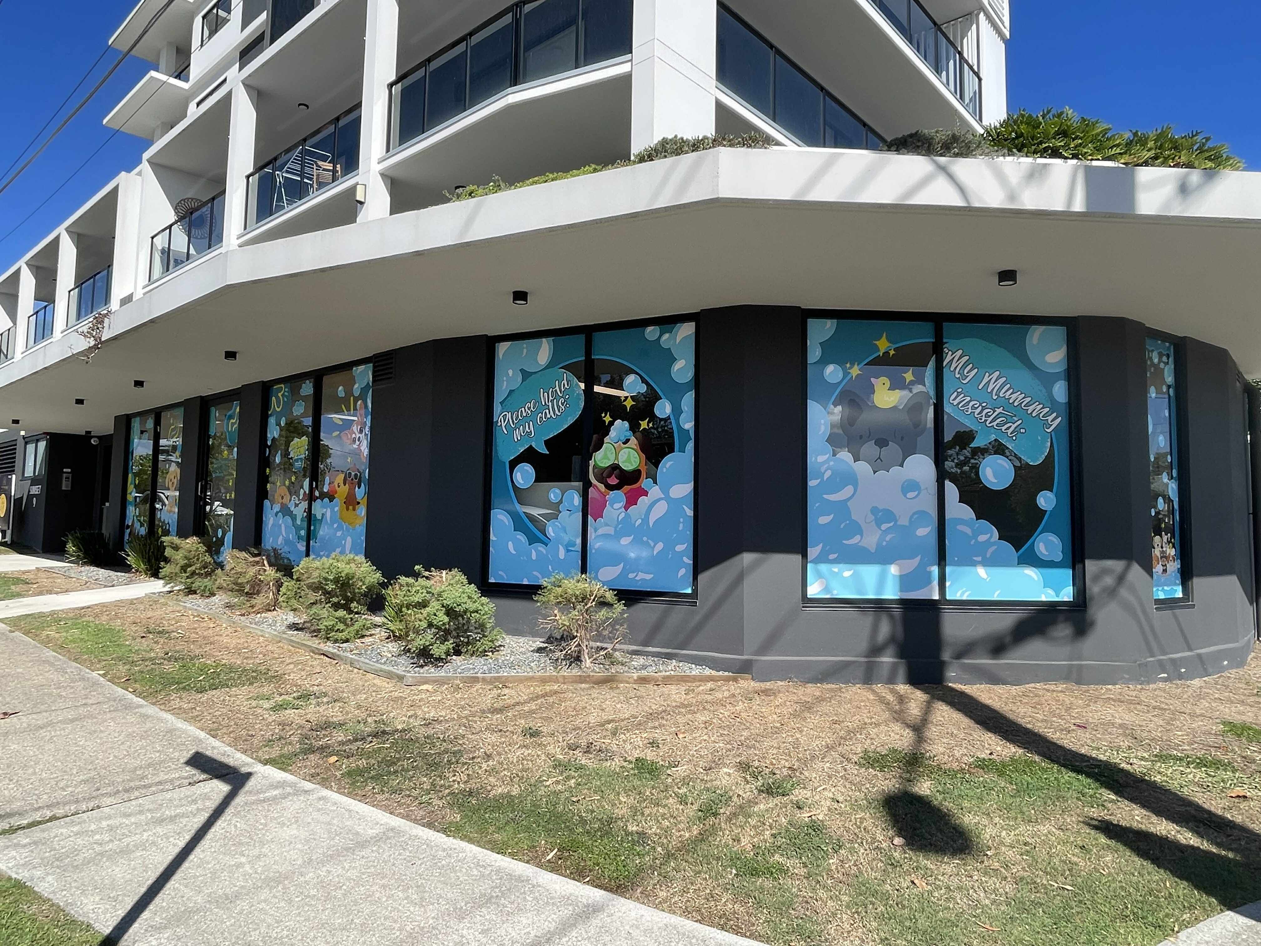 Bright and Bold Window Graphics That Make Your Business Shine!