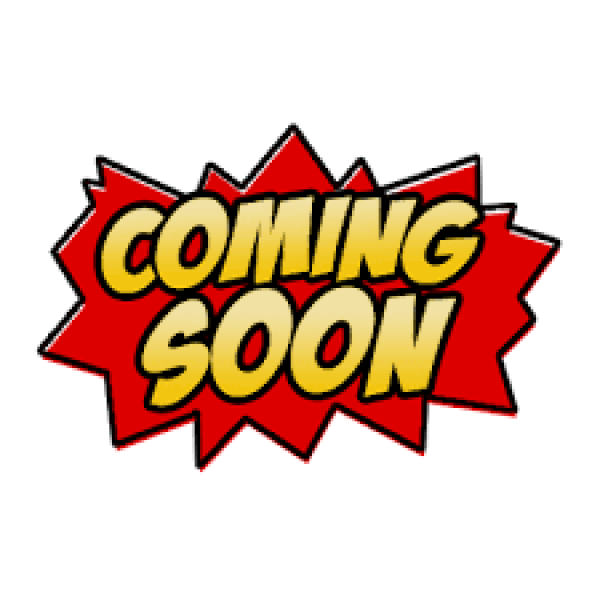 Used Toyota LPG Forklift #W356