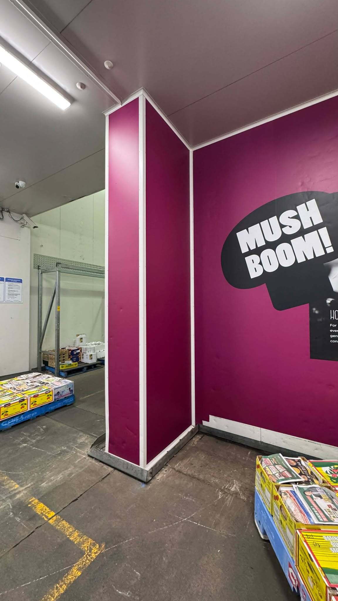 How Wall Graphics Can Elevate Any Business Inside and Out! | The Importance of Signage