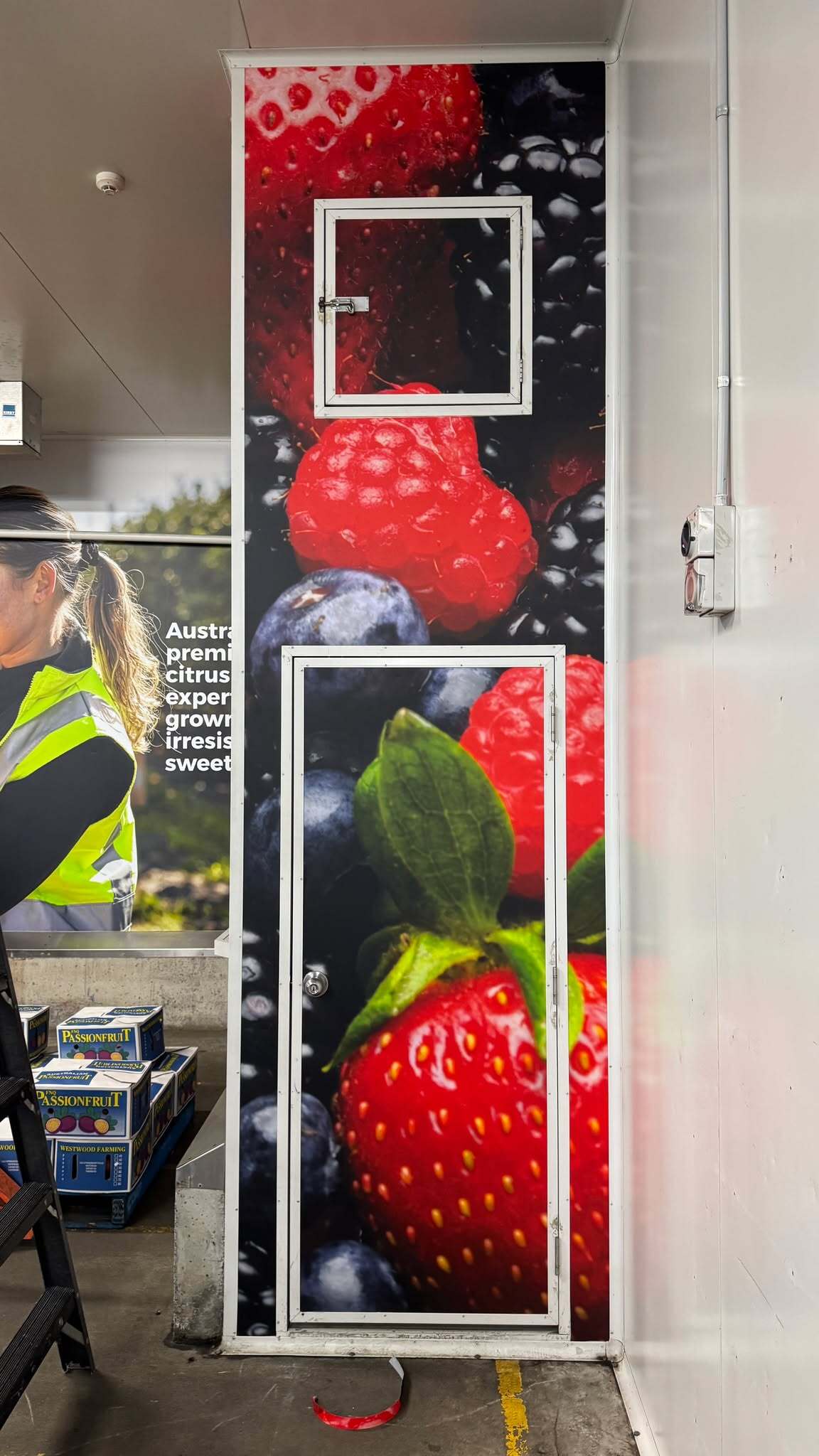 How Wall Graphics Can Elevate Any Business Inside and Out! | The Importance of Signage