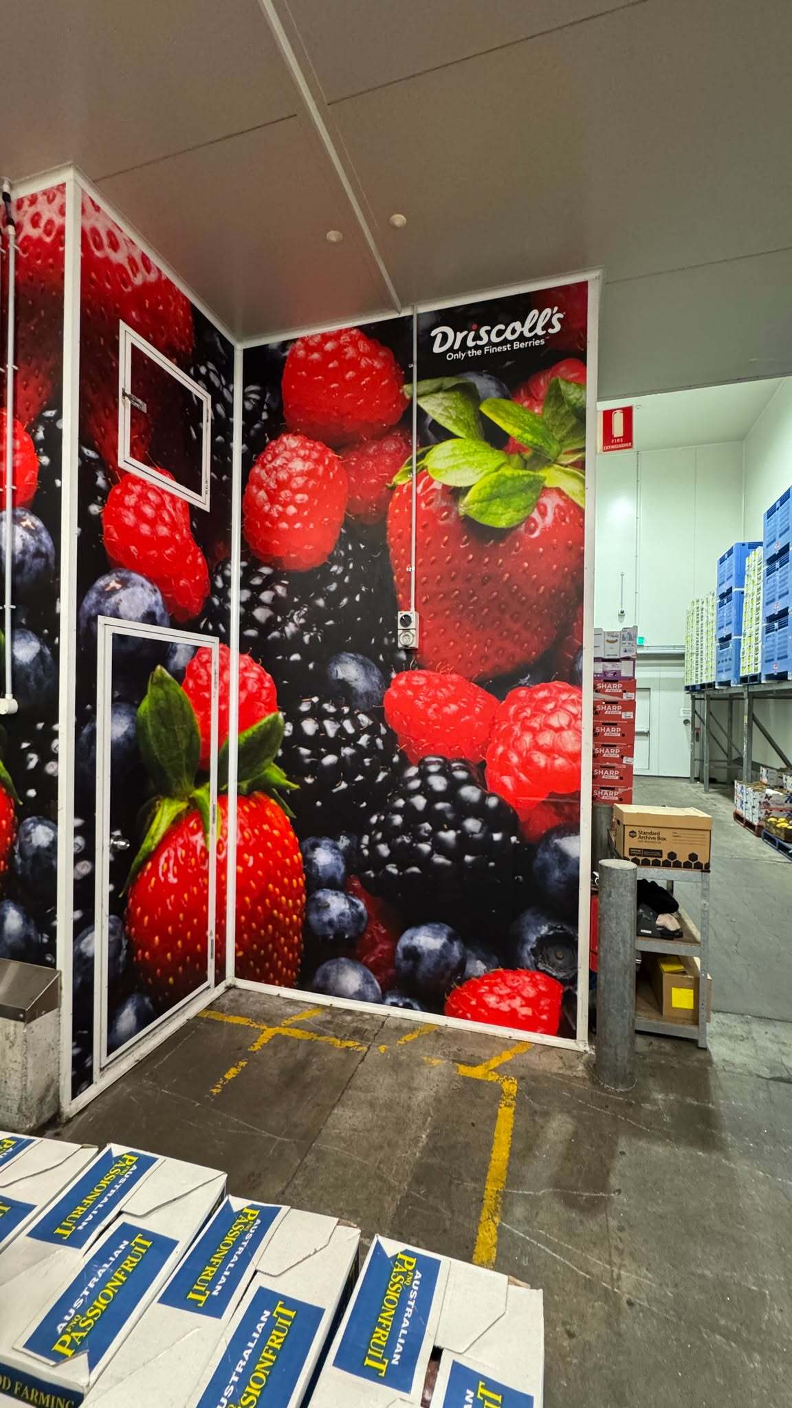 How Wall Graphics Can Elevate Any Business Inside and Out! | The Importance of Signage