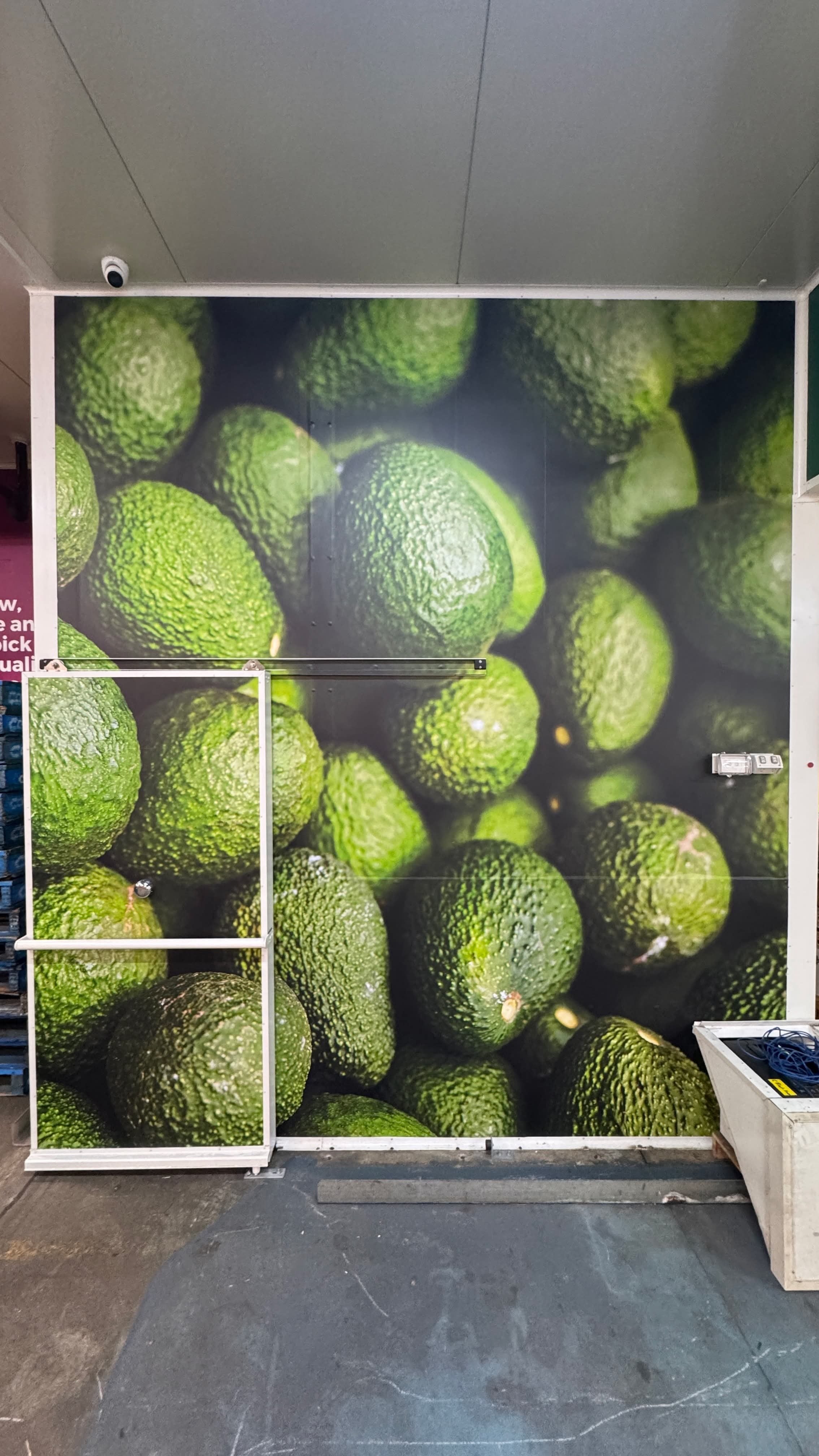 How Wall Graphics Can Elevate Any Business Inside and Out! | The Importance of Signage