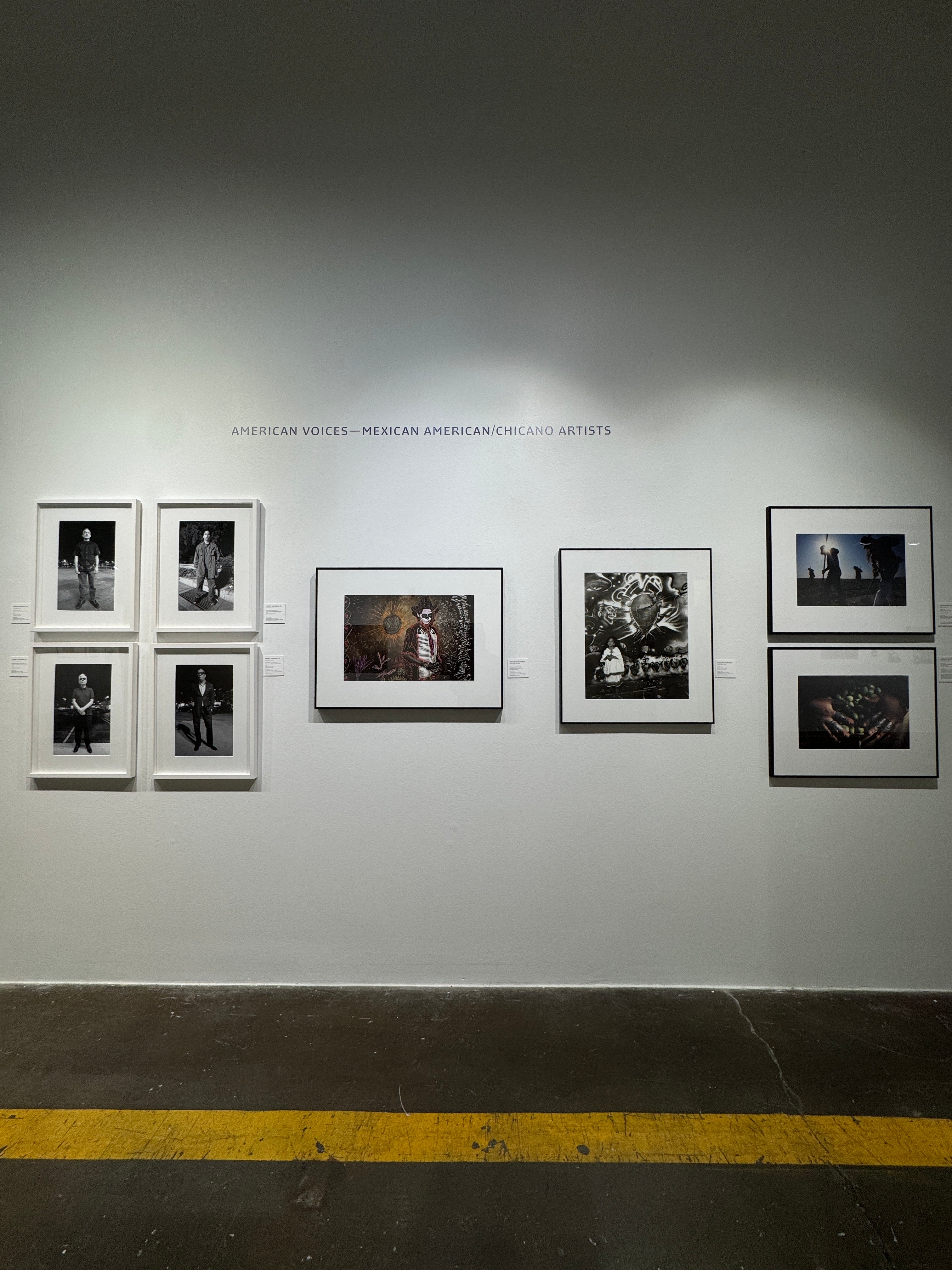 Transforming FotoFest: Stunning Vinyl Wall Graphics for a Global Visions – FotoFest at 40
