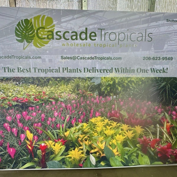 Gear Up for Spring Season Marketing - Branded Backdrops