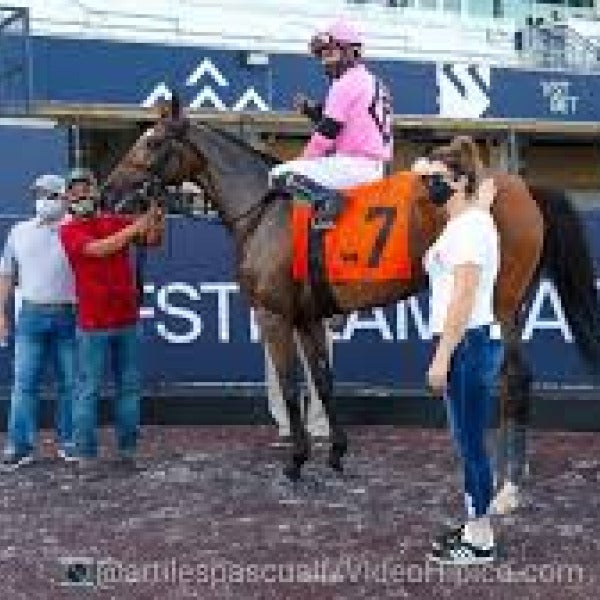 Gulfstream Park – Winner’s Circle Exterior Branding