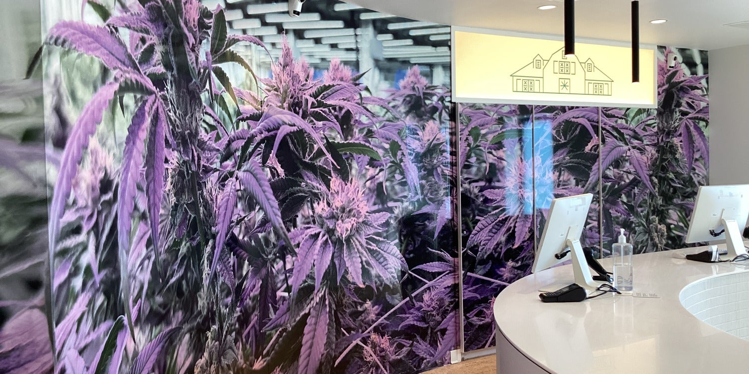 Custom Wall Murals