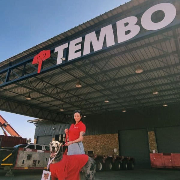 Signage Upgrades for Tembo in Meyerton