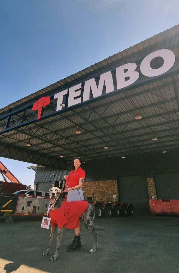 Signage Upgrades for Tembo in Meyerton