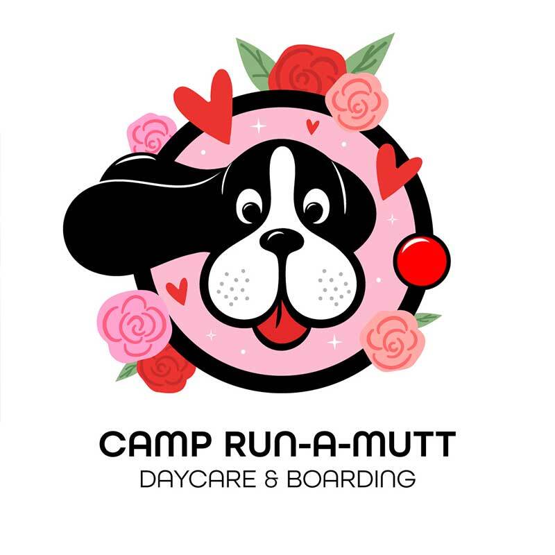 Camp Run-A-Mutt Celebrates 3 Million Pup Check-Ins, Expands Franchise Opportunities