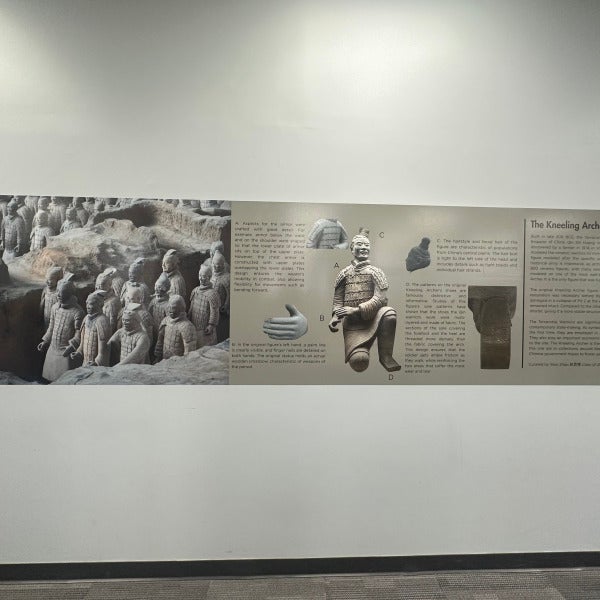 Wesleyan University – Custom Wall Graphics Installation (Middletown, CT)