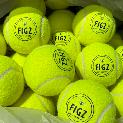 https://cdn.gorilladash.com/images/media/20686516/fully-promoted-usa-branded-tennis-balls-square-69caf1e71d59e.png?auto=webp&crop=1%3A1%2Csmart&width=400