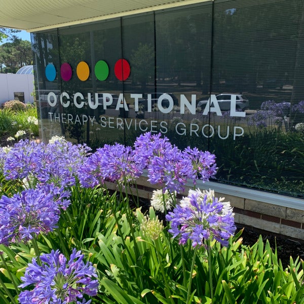 Professional Window Vinyl Signage