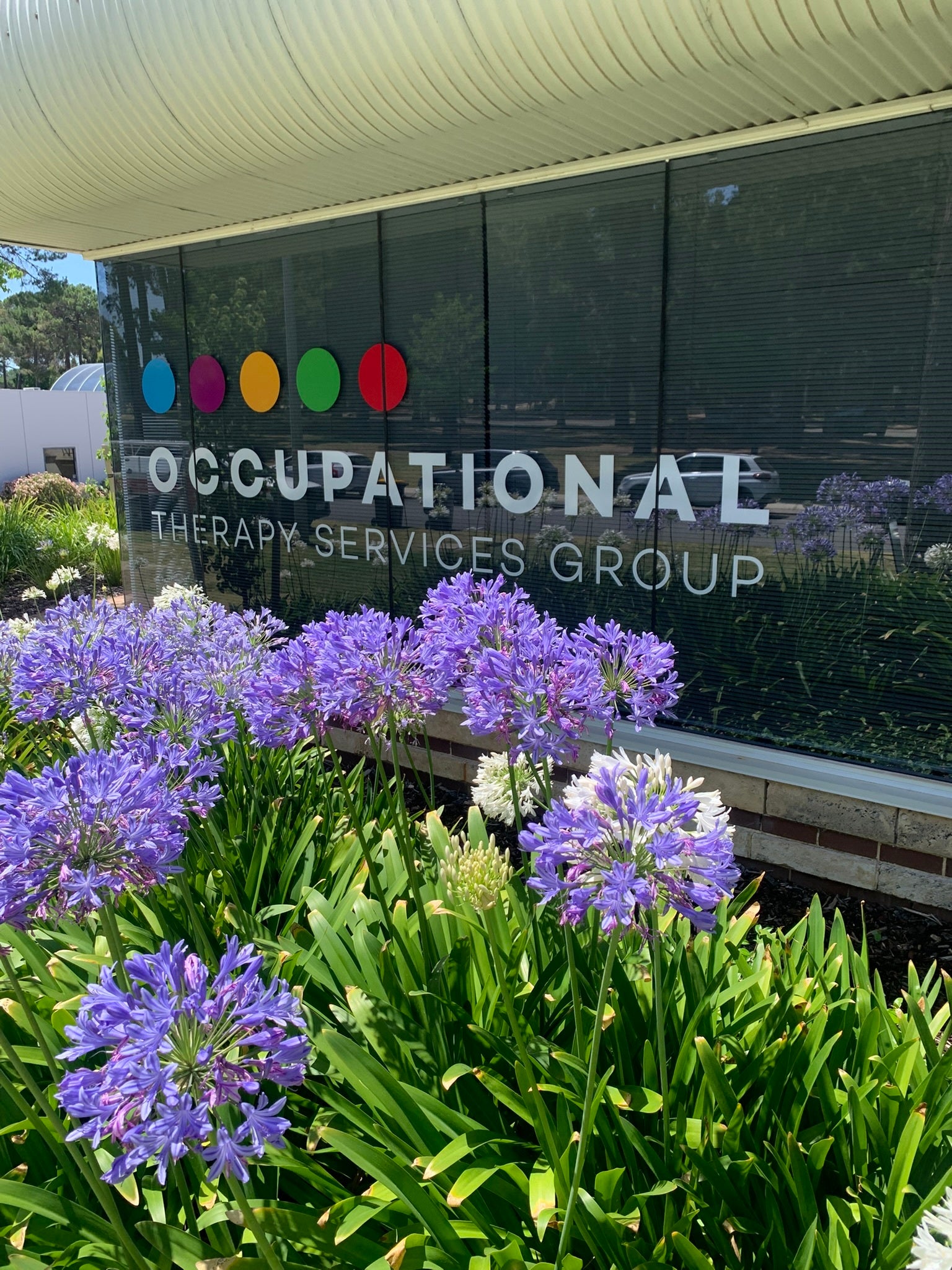 Professional Window Vinyl Signage
