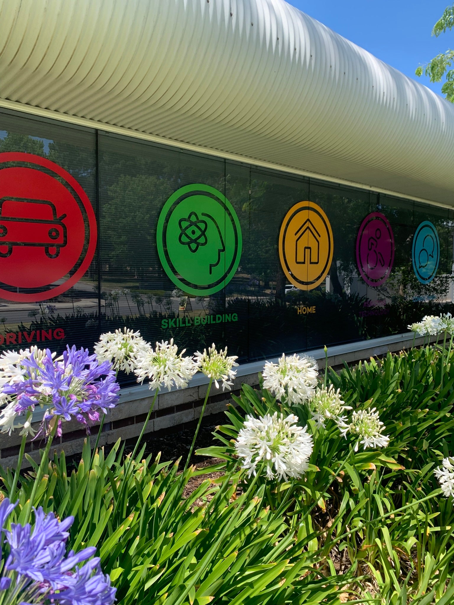 Professional Window Vinyl Signage