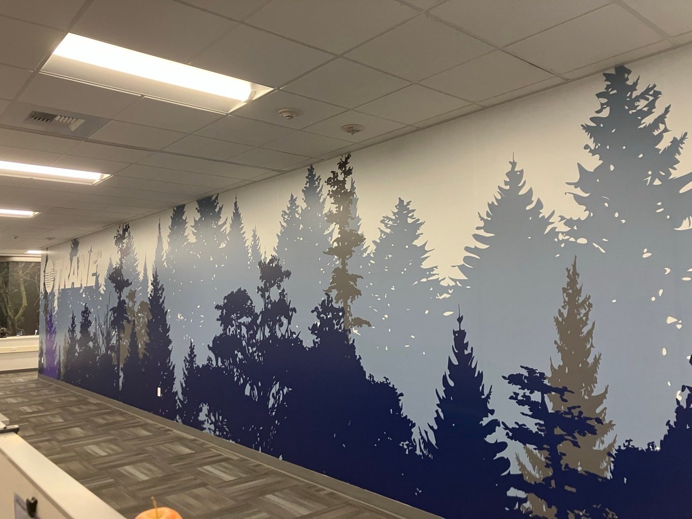 Custom Wall Graphics in Seattle: How Signarama Redmond Transformed Trane Technologies’ Office