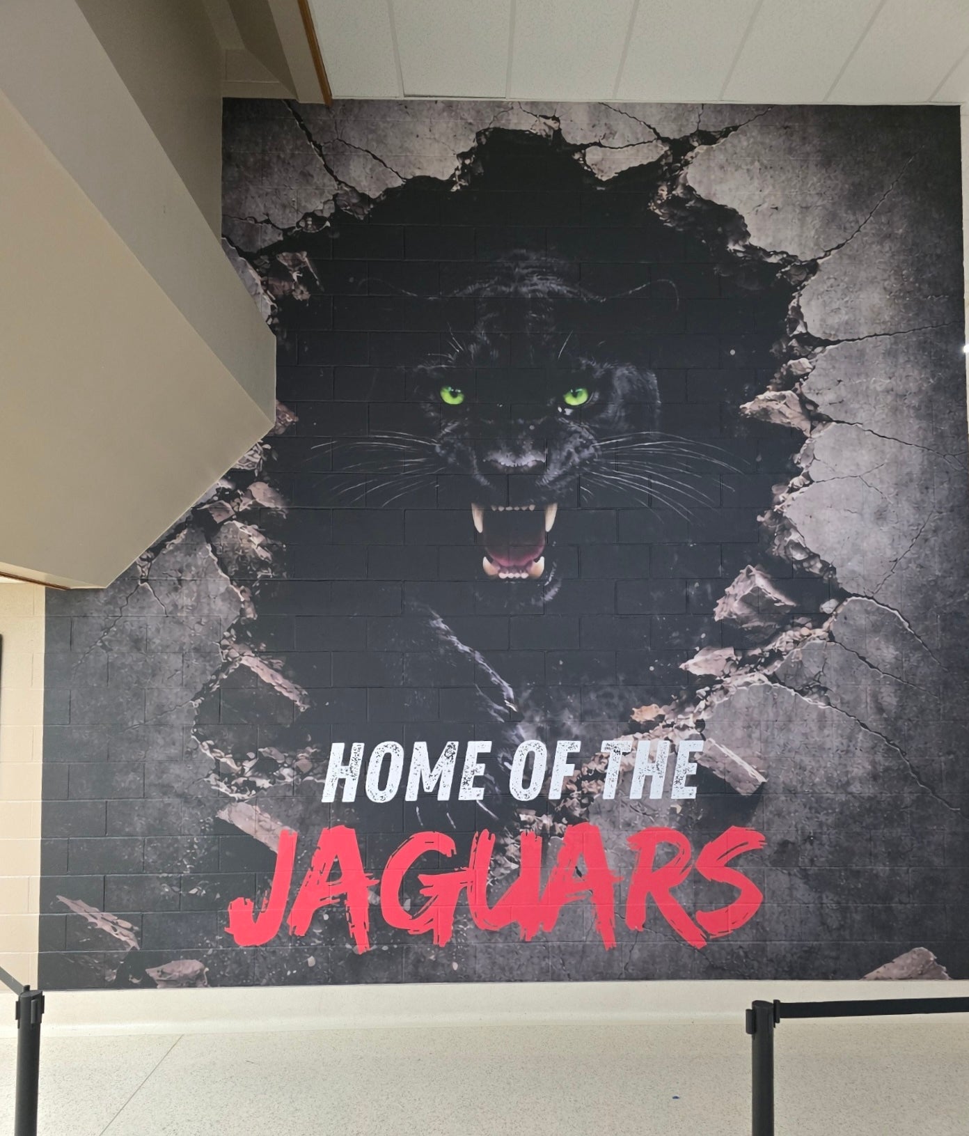 Large Format Wall Wrap from Signarama OKC!