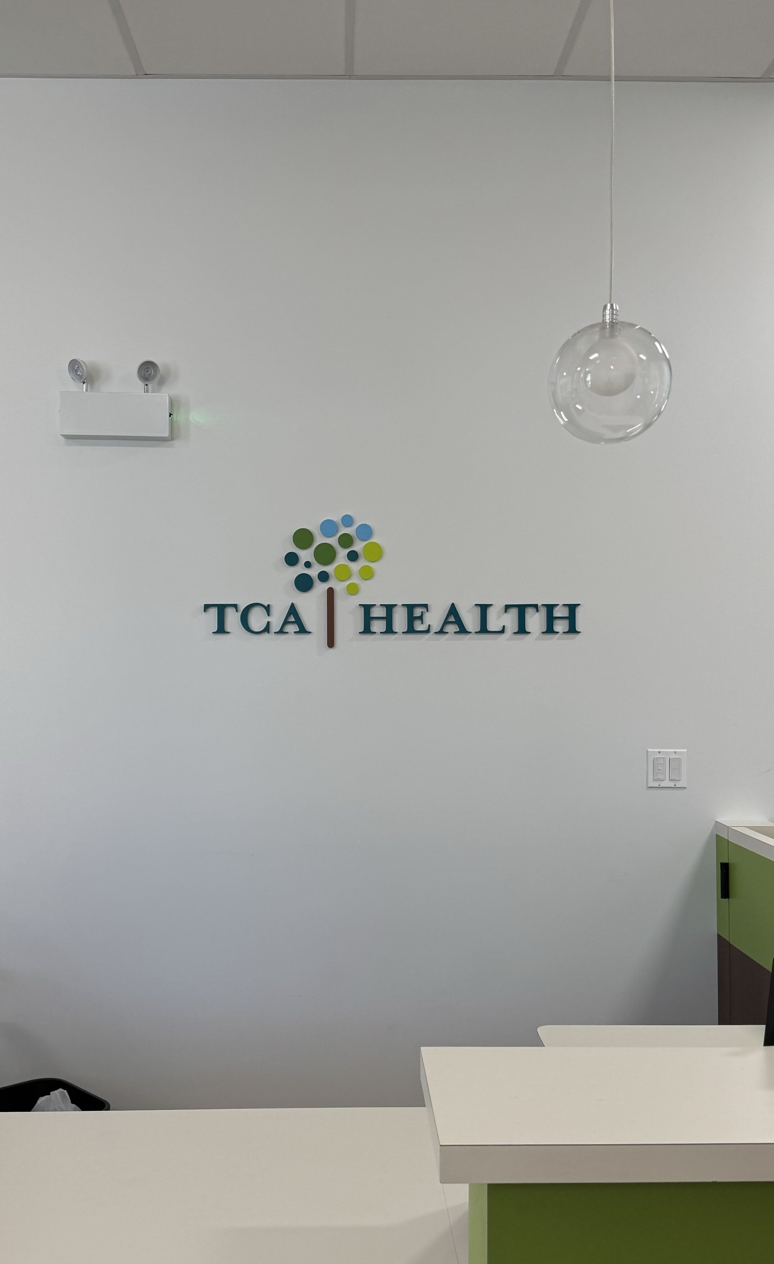 Clean, Modern Dimensional Letters for TCA Health
