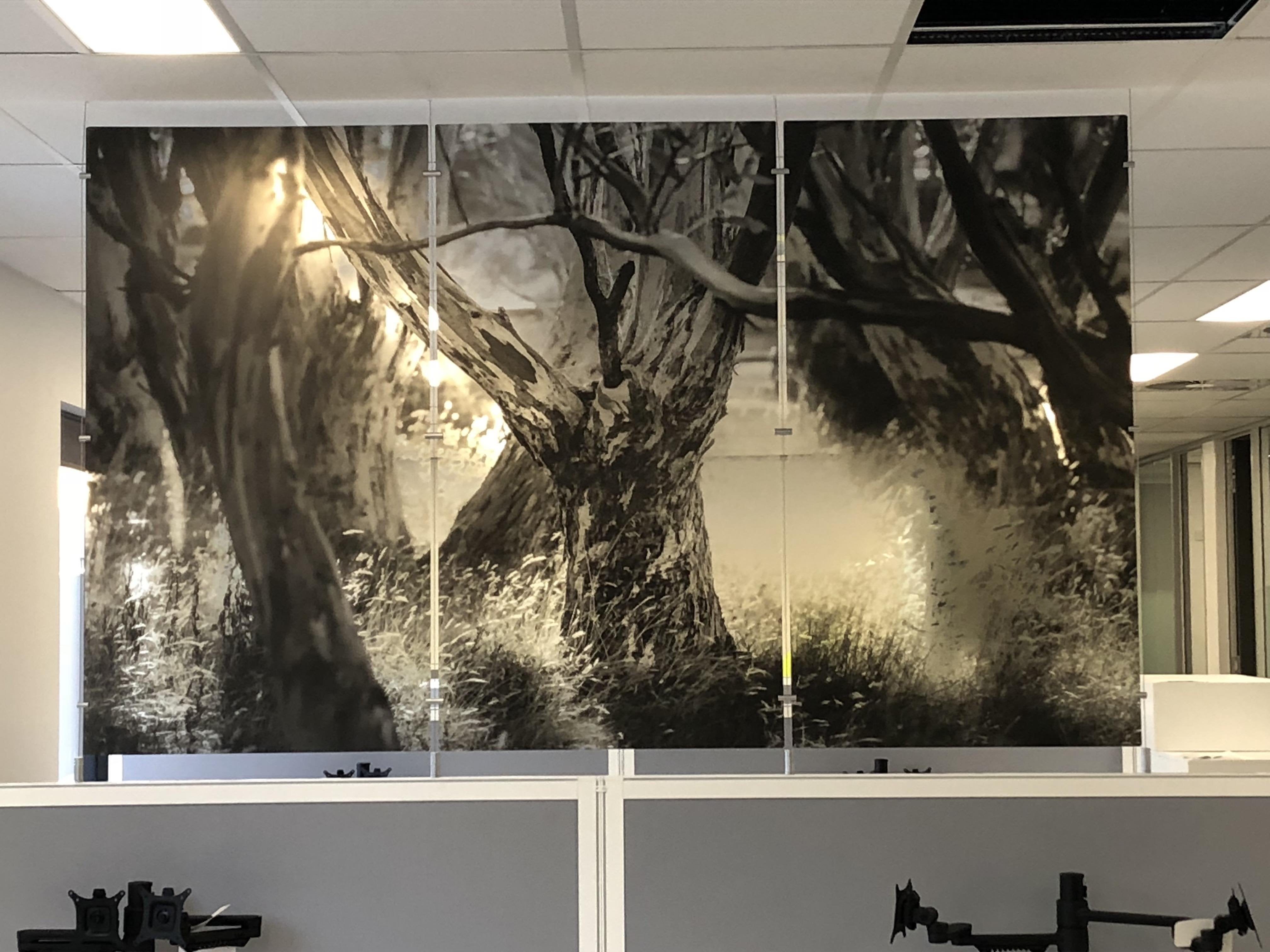 Direct Print - Acrylic Panels