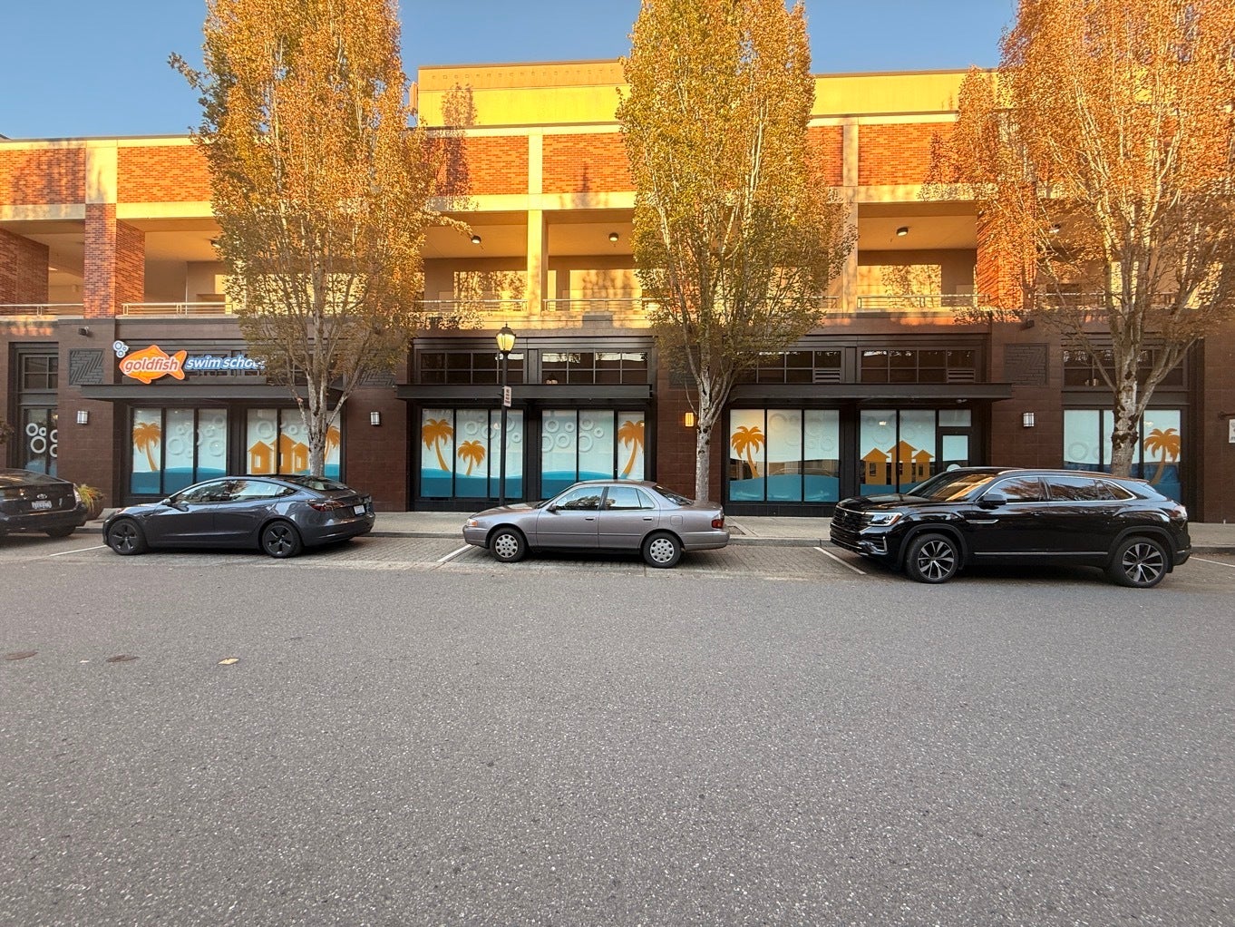 Turning Blank Glass Into a Story: How Window Graphics Turn Goldfish Swim School – Redmond, WA Into a Landmark