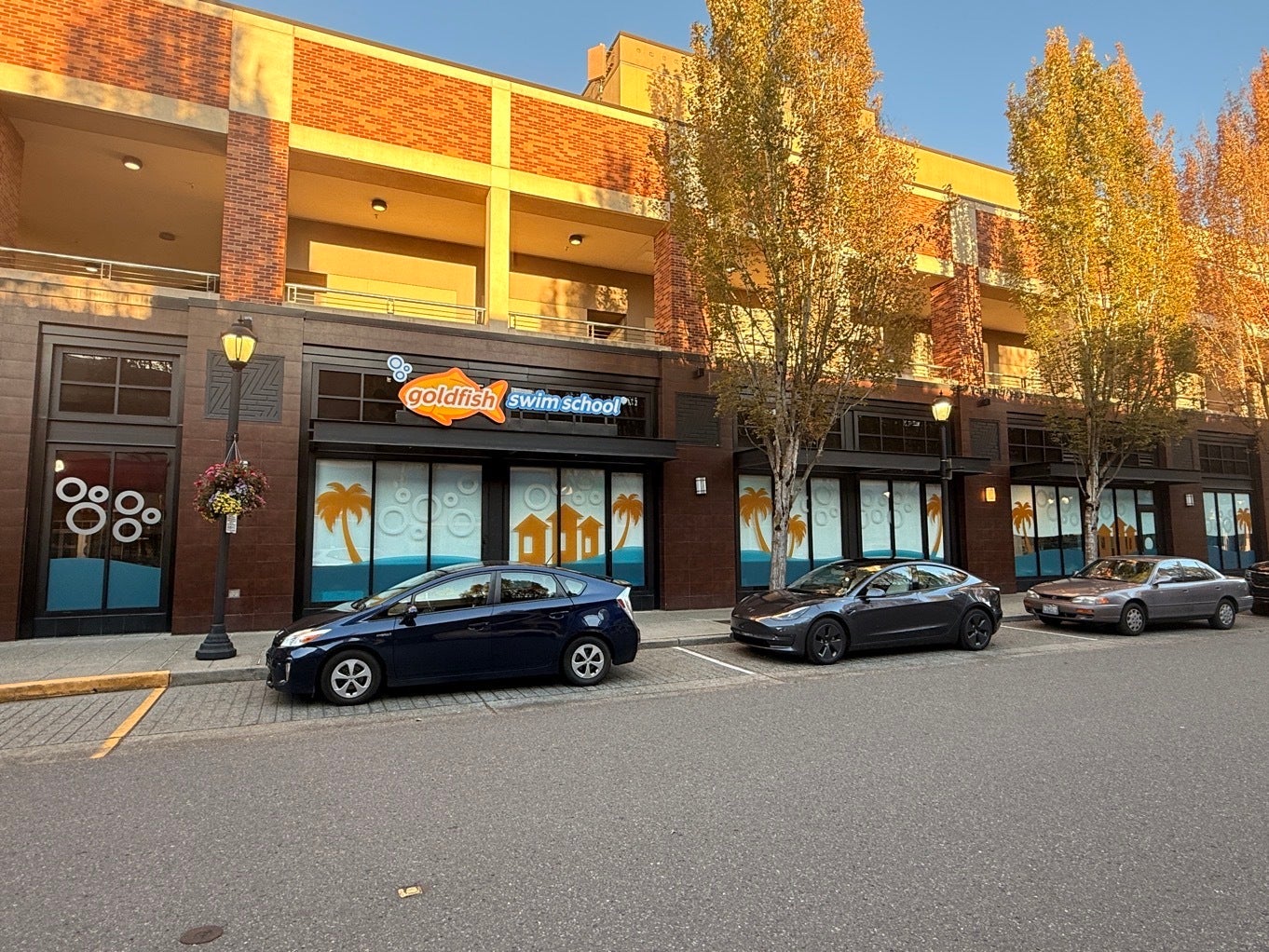 Turning Blank Glass Into a Story: How Window Graphics Turn Goldfish Swim School – Redmond, WA Into a Landmark