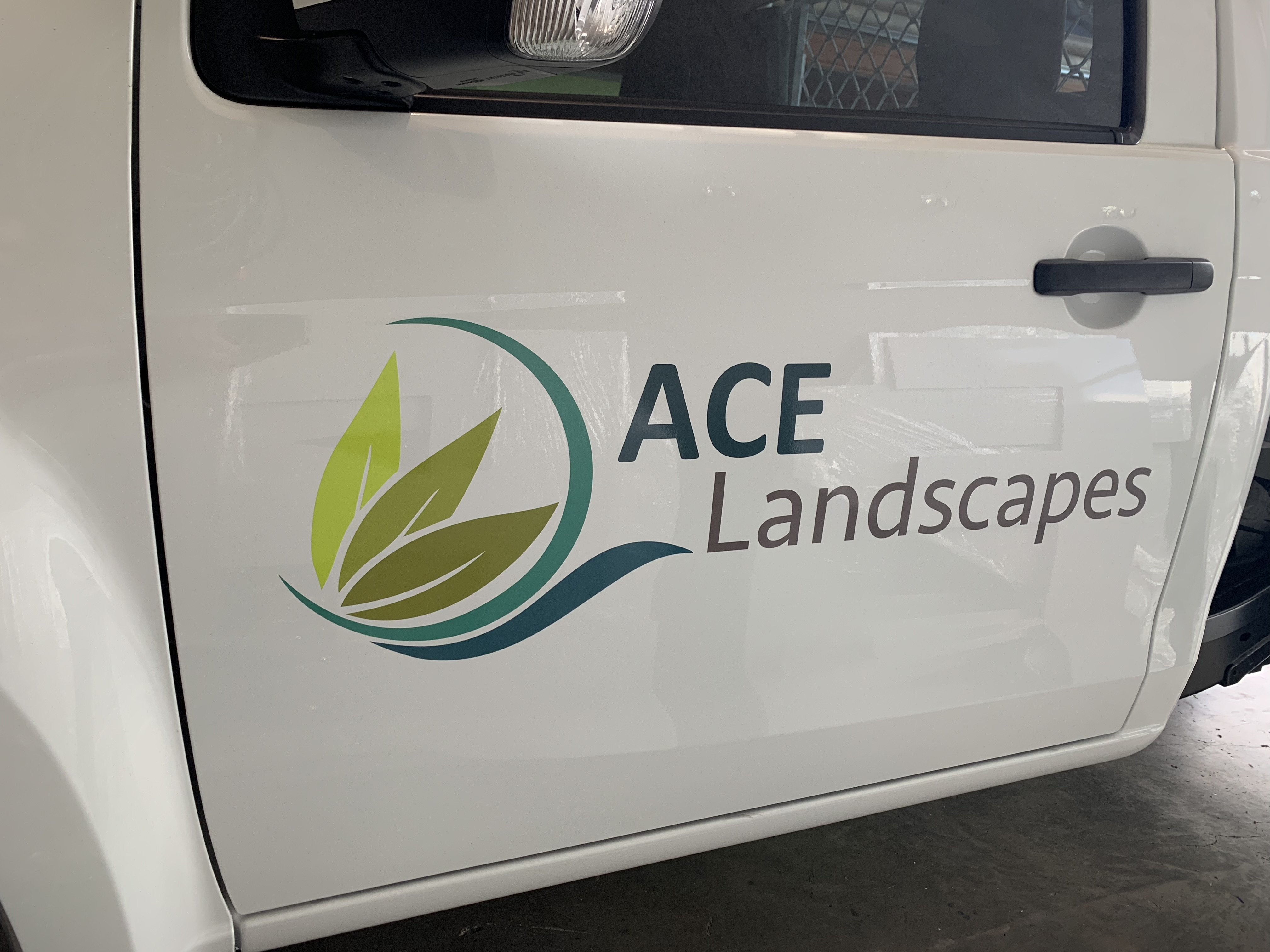 Vehicle Wraps & Graphics