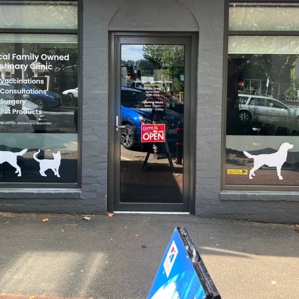 Window graphics for Yarra Ranges Animal.