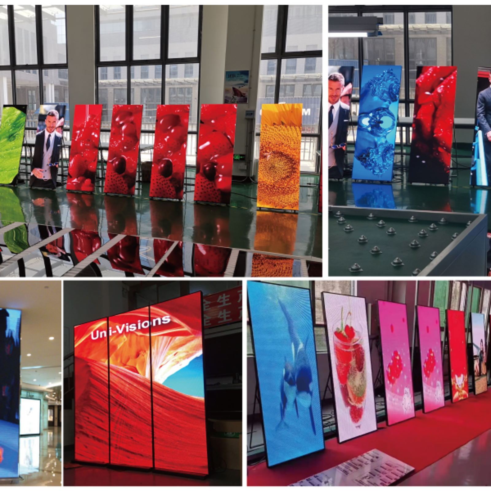 Digital Signs and Displays