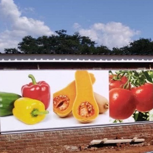Building Signs