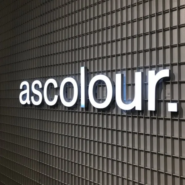 3D Illuminated letters for a business in white on a dark detailed background. | Signarama
