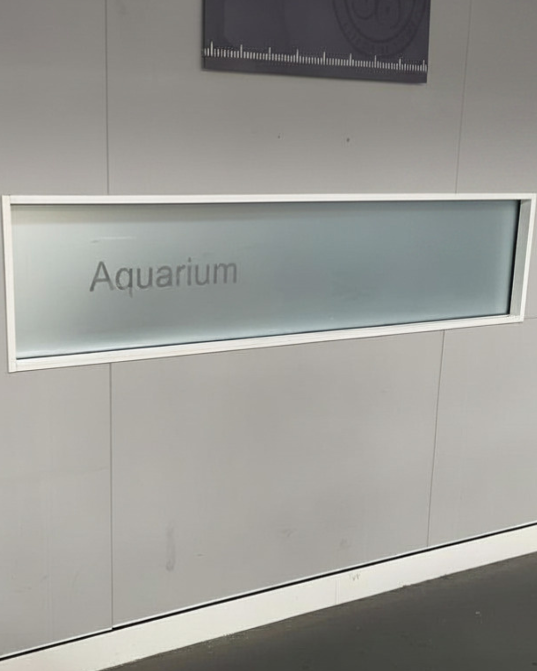 Multiple Custom Signs, One Expert Team - Signarama New Farm