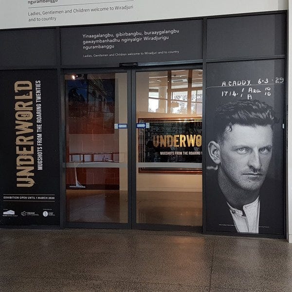Window Graphics for Orange Regional Museum