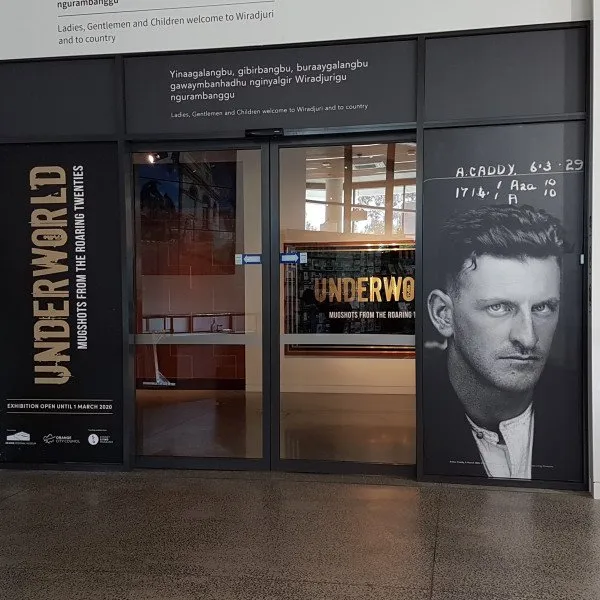 Window Graphics for Orange Regional Museum