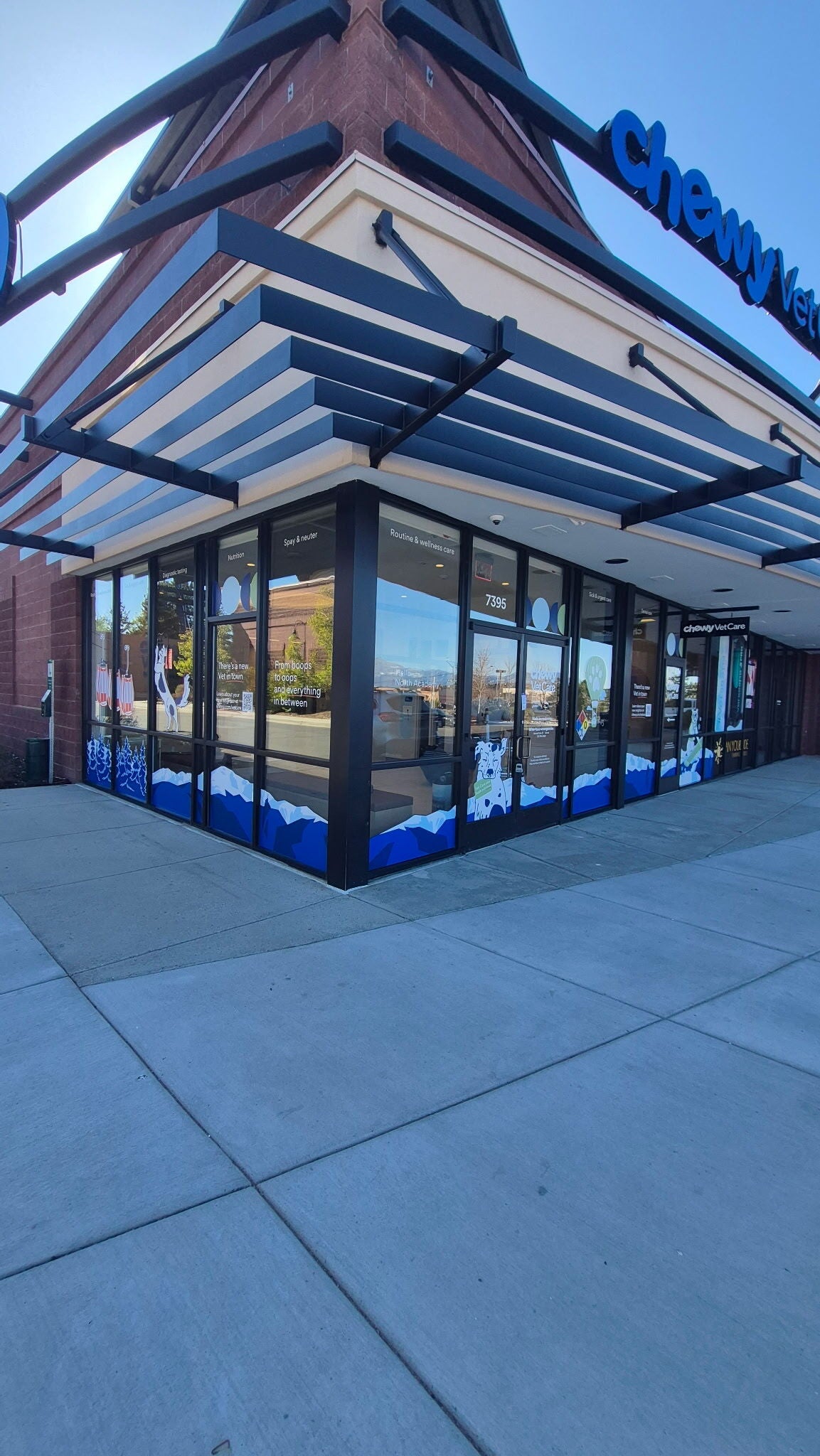 How Window Graphics Transform Your Colorado Springs Storefront