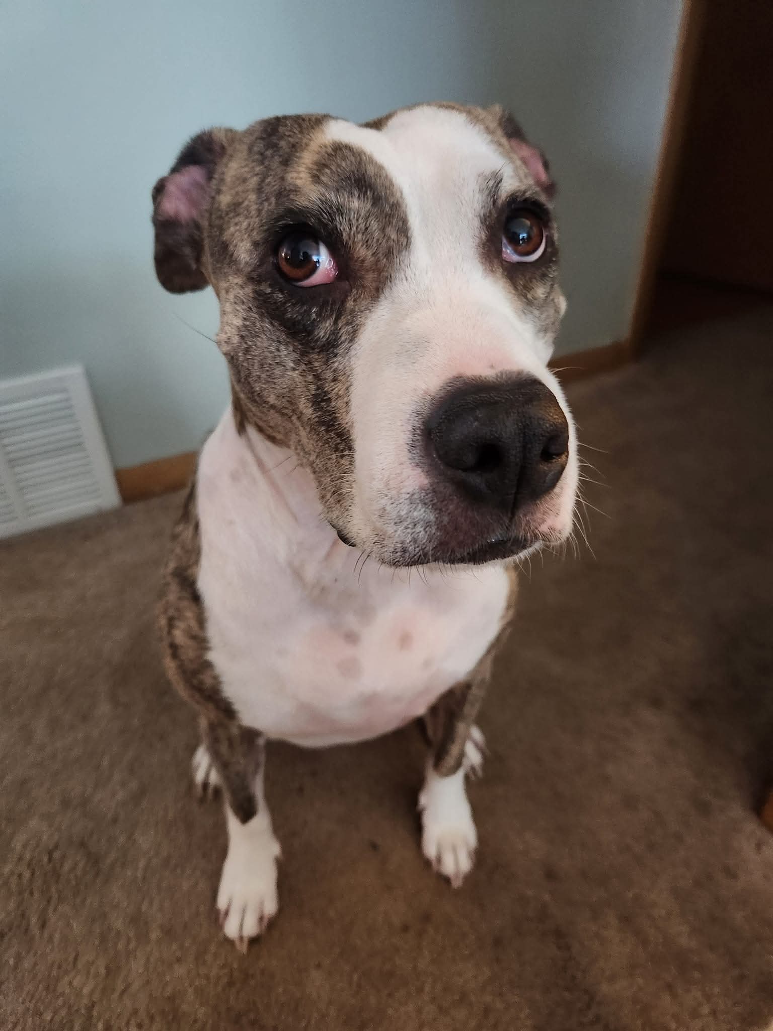 Sadie (Luhrsen)
