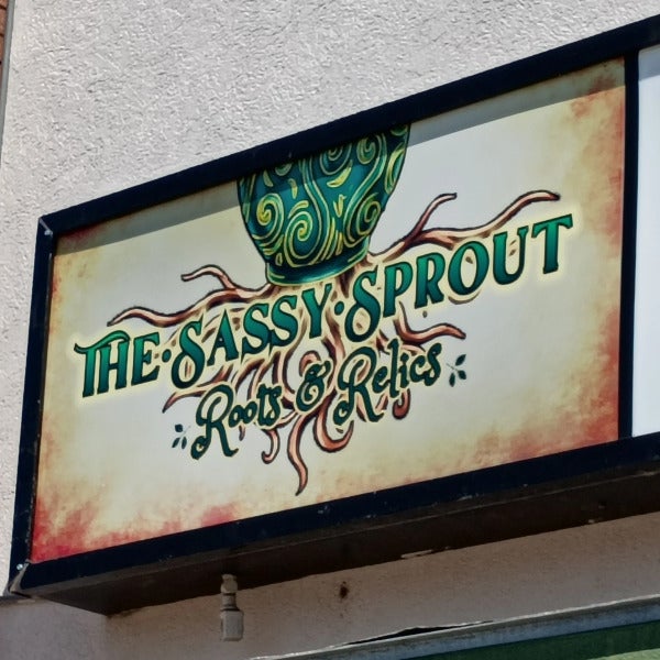 Custom illuminated light box sign featuring vintage botanical branding, decorative root artwork, and vibrant storefront signage design.