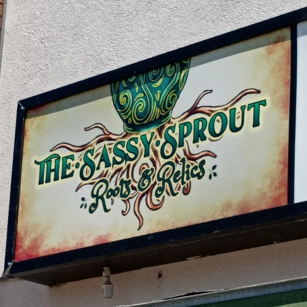 Custom illuminated light box sign featuring vintage botanical branding, decorative root artwork, and vibrant storefront signage design.