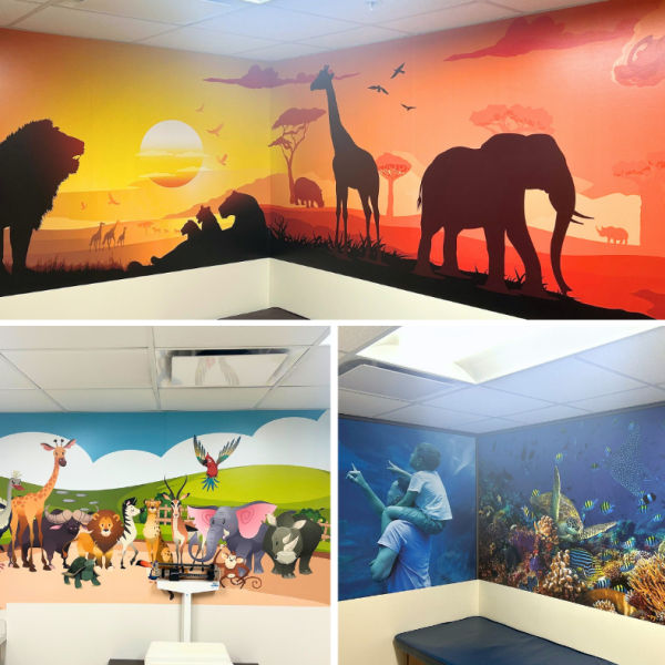 St. Vincent Evansville - Pediatric Wall Graphics
