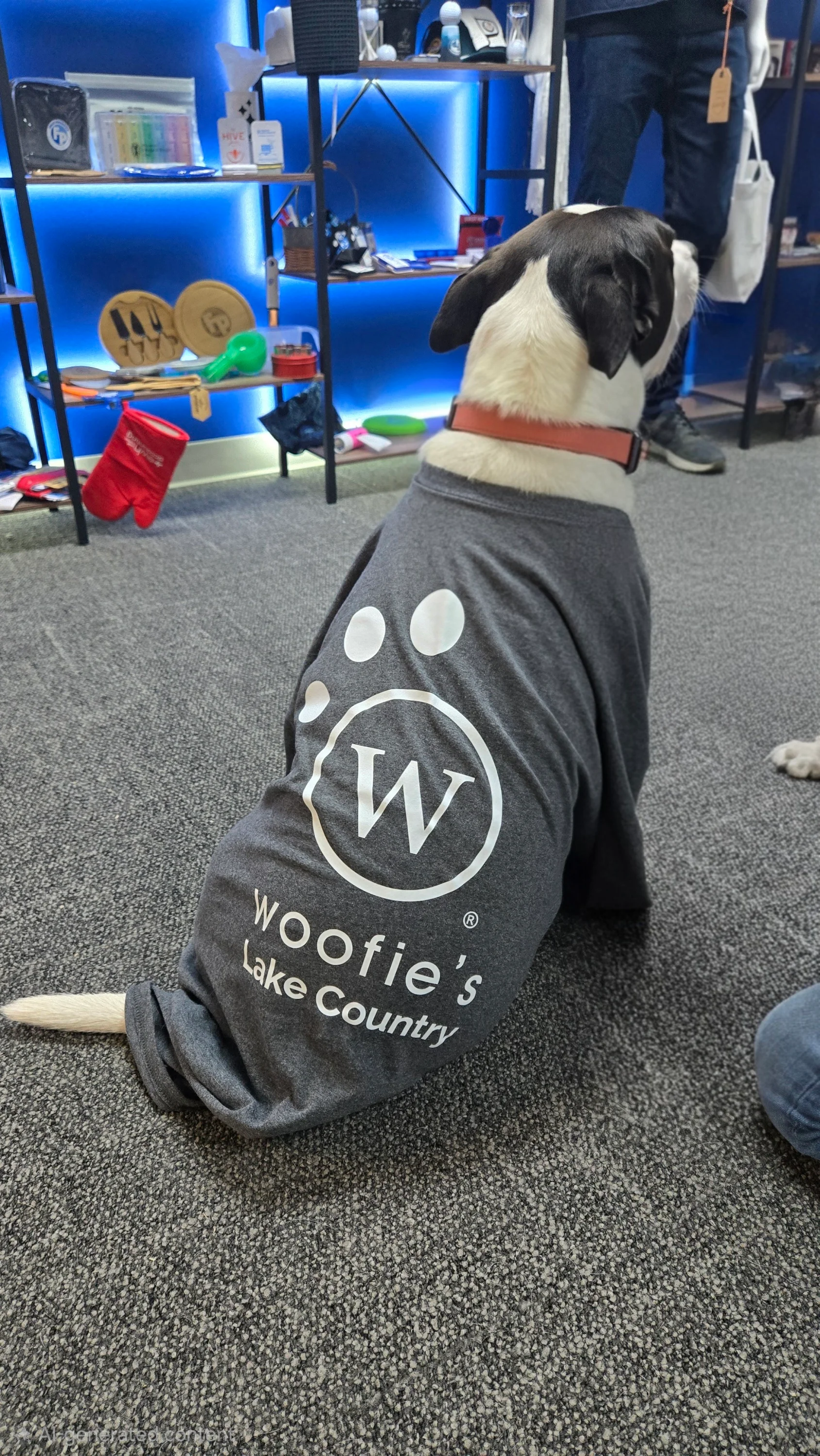 Branded Apparel for the Whole Pack