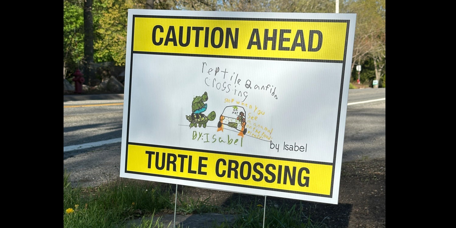 Yard & Lawn Signs